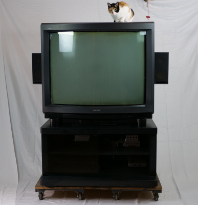 Click to view in new tab